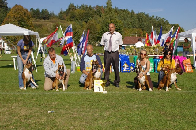 www.boxer-show.eu